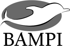 l_bampi_0