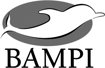 l_bampi_0